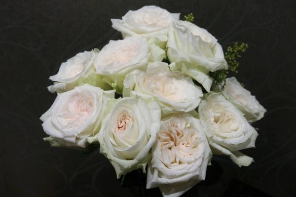 白色玫瑰代表的含义（白玫瑰的花语是什么）