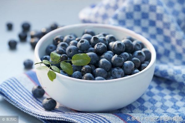 蓝莓小苗的栽种和管理（蓝莓的种植方法和技术）